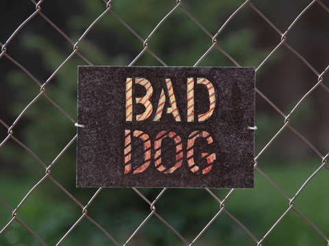 Bad dog sign