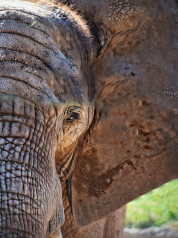 Eye on you