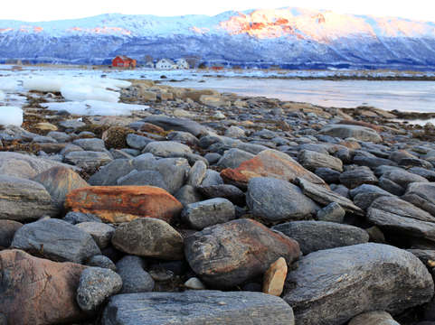 Winter stones