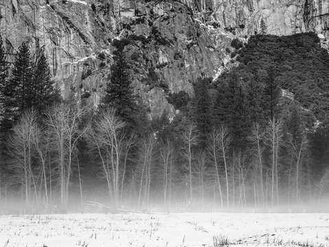 Morning mist in yosemite valley