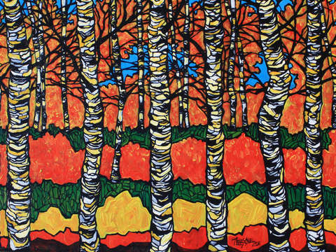 Summer birches