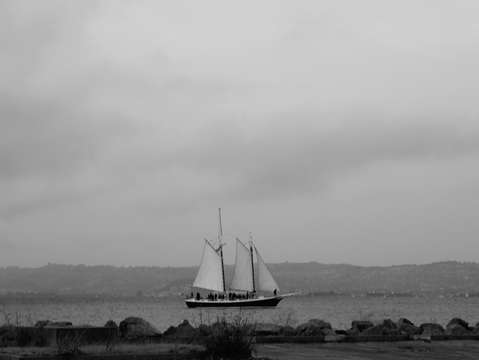 Yerba buena island