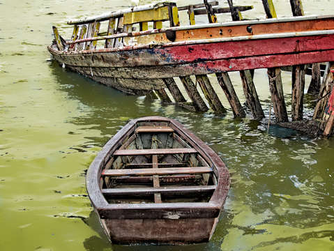 Beautiful Decay
