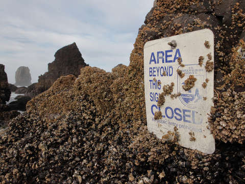 Area closed