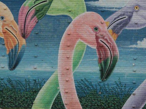 Flamingos mural