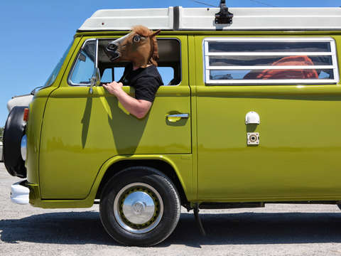 Horse van