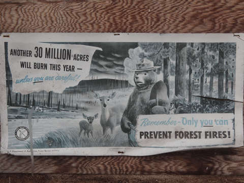 Prevent forest fires