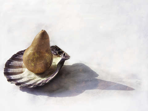 Pear and shell