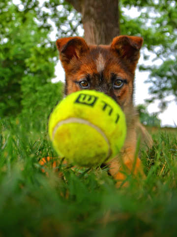 Focused