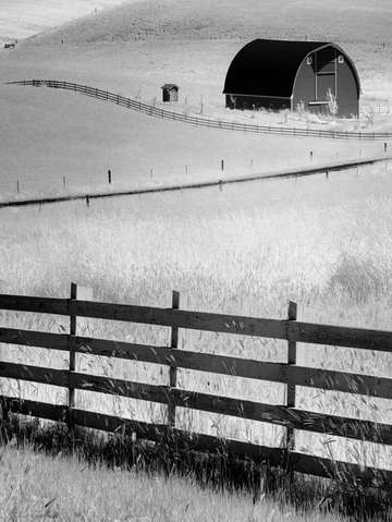 Fences 2