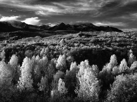 Dallas divide