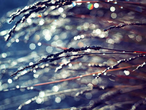 Always shine