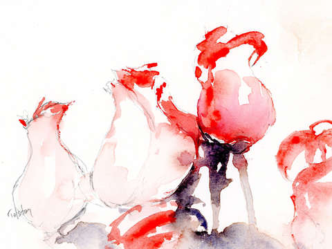 Four rosebuds