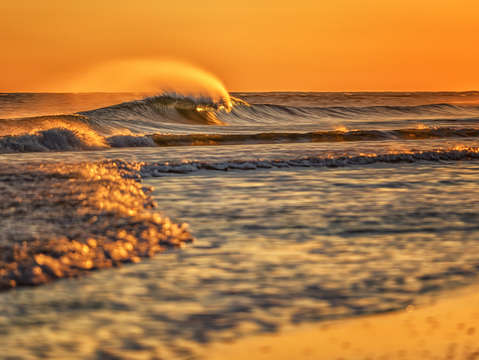 Brilliant wave in the wind