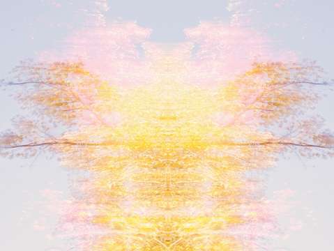 Vibrant spring 1