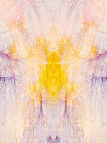 Vibriant spring 4