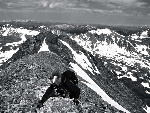 Equine hiker