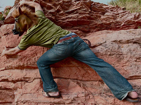 Rock climbing horse