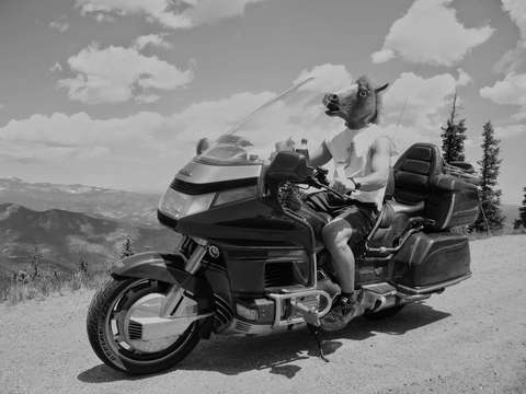 Sweet ass gold wing