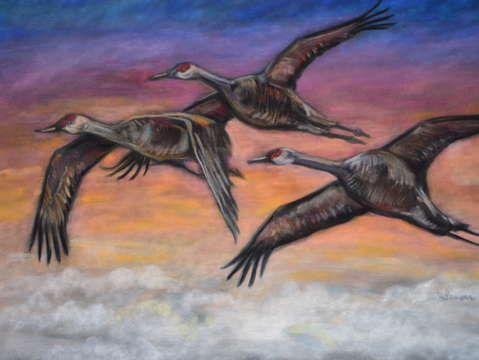 Sandhill cranes in flight