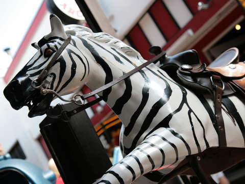Mechanical zebra