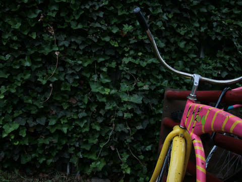 Pink and yellow bike