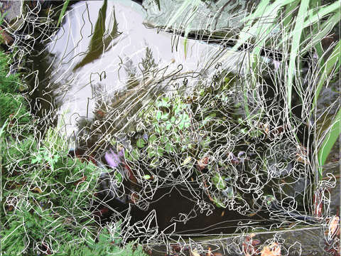 Garden pool he