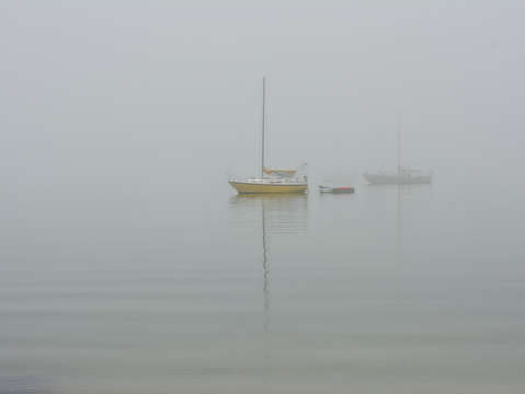 Foggy anchorage