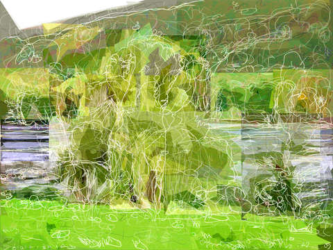 Tree by the pond 2012 i