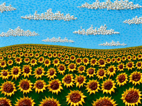 Field of sunflowers