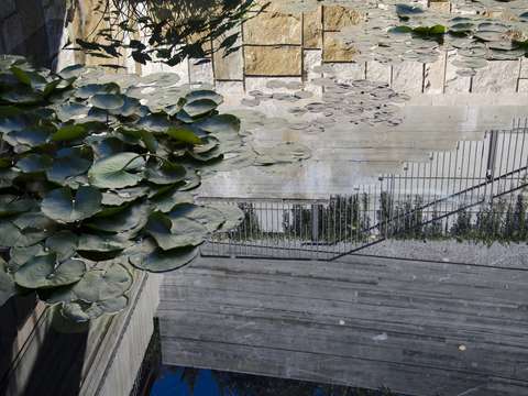 water ways 1
