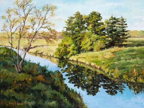 Country stream