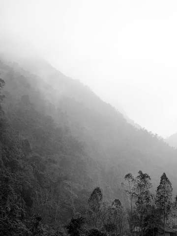 Misty vietnam
