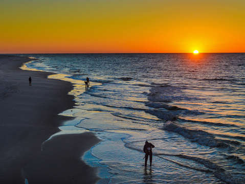 Clam digging at sunrise