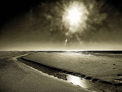 Beach Stream Golden