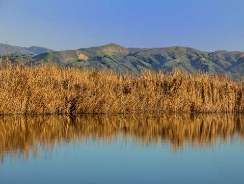 Reflections 12