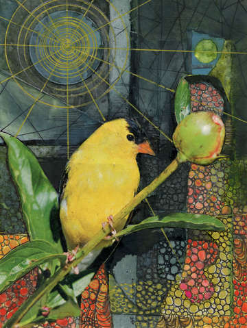 The Goldfinch and The Sun