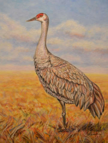 Majestic crane