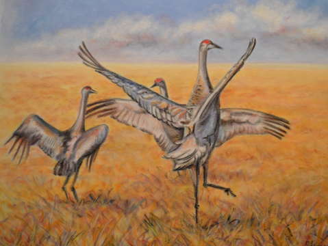 Cranes dancing