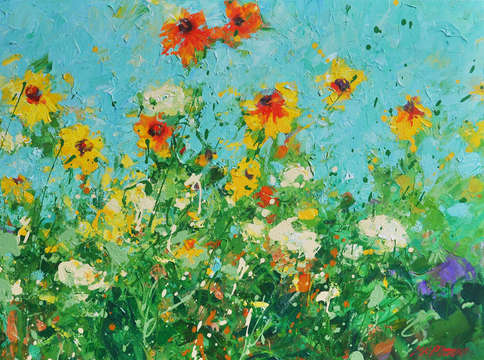 Meadow morning