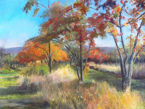 Buckle orchard