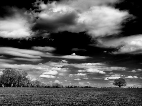The country side