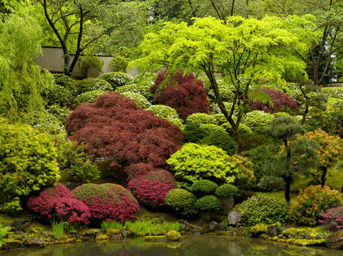 Zen garden