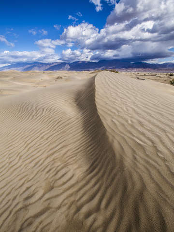 Mesquite dunes