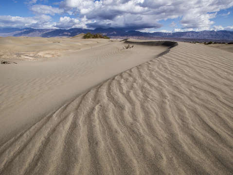 Long sand dune