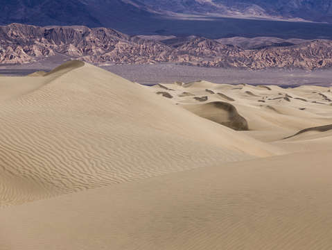 Sea of dunes