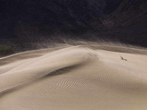 Moving the dunes