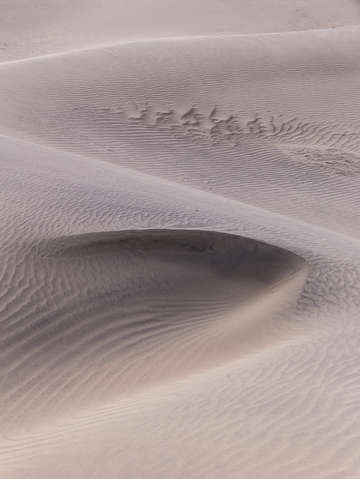 Dune detail 1
