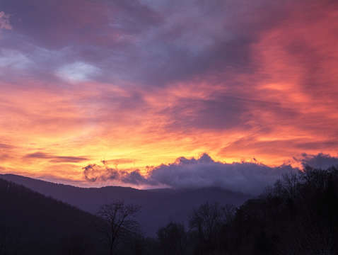 Mountain morning beauty