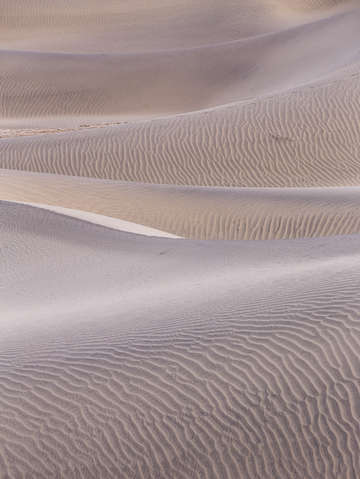 Ripples in the sand